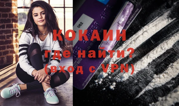 крисы Мегион