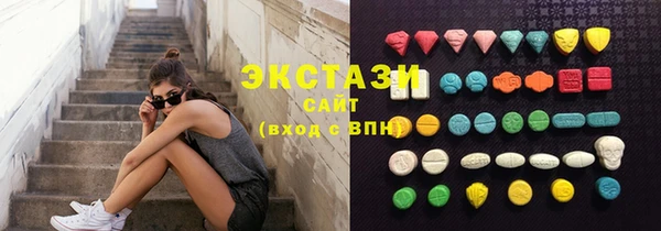 крисы Мегион