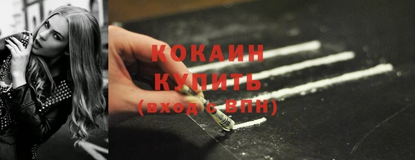 крисы Мегион