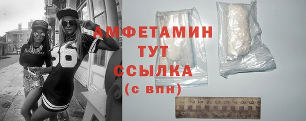 крисы Мегион