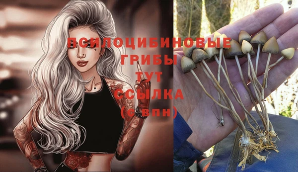 крисы Мегион