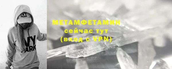крисы Мегион