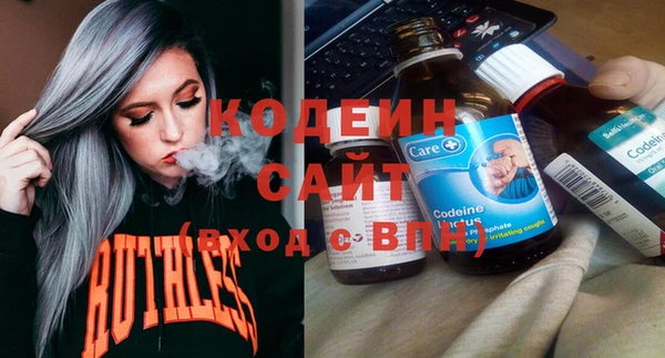 крисы Мегион