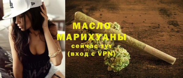 крисы Мегион