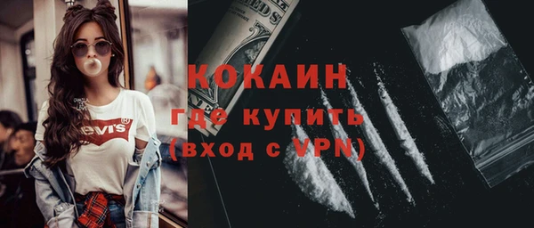 крисы Мегион